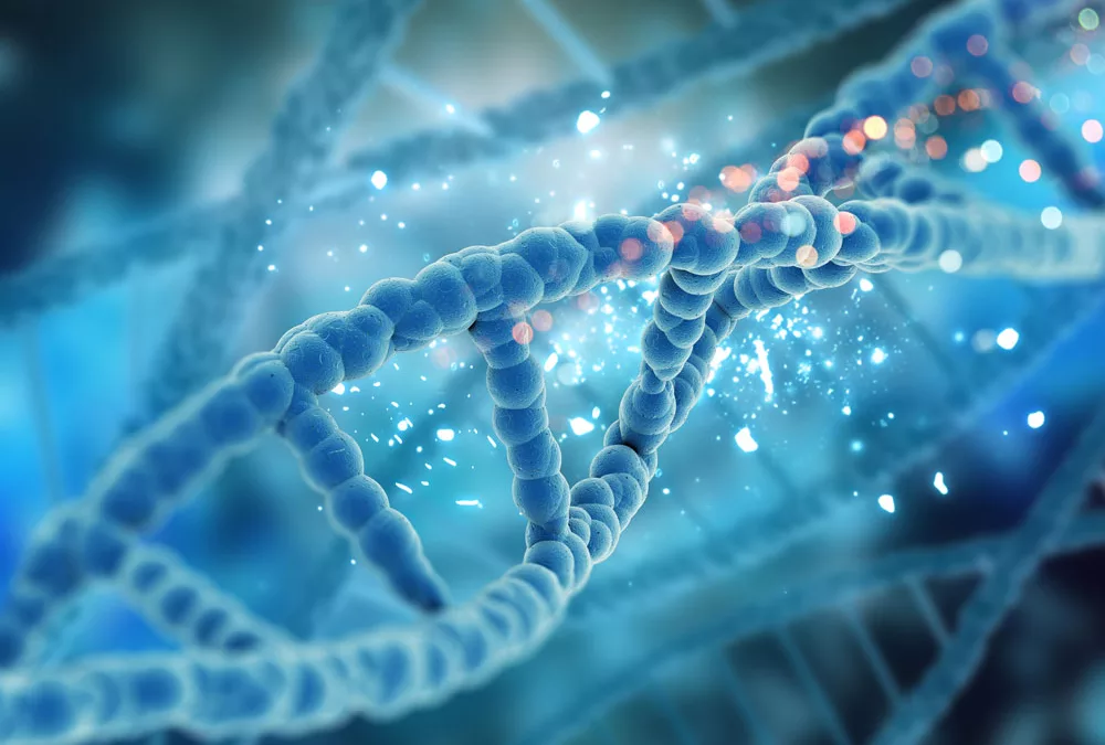 ¿Qué es una custodia de ADN y para qué sirve?