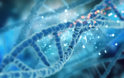 ¿Qué es una custodia de ADN y para qué sirve?